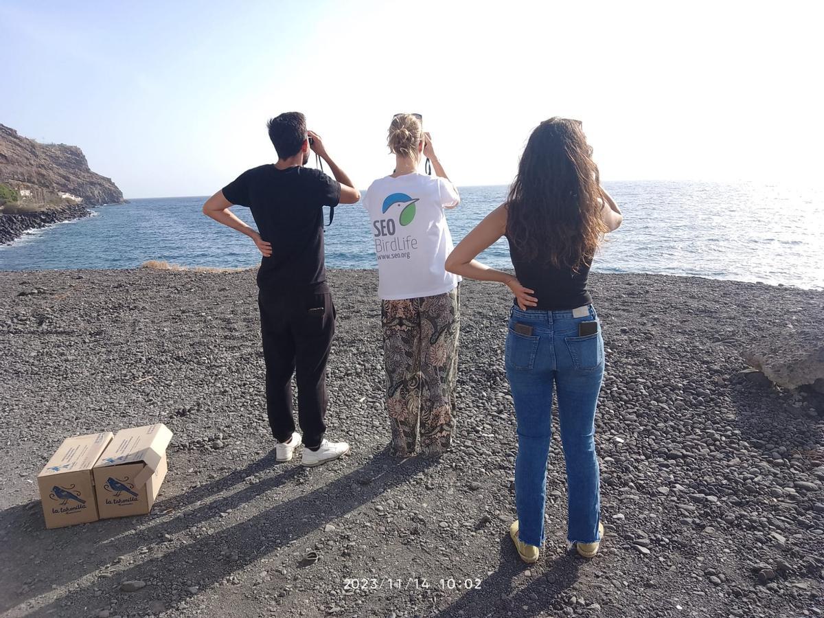 Liberación de pardelas en Caletillas, Tenerife.