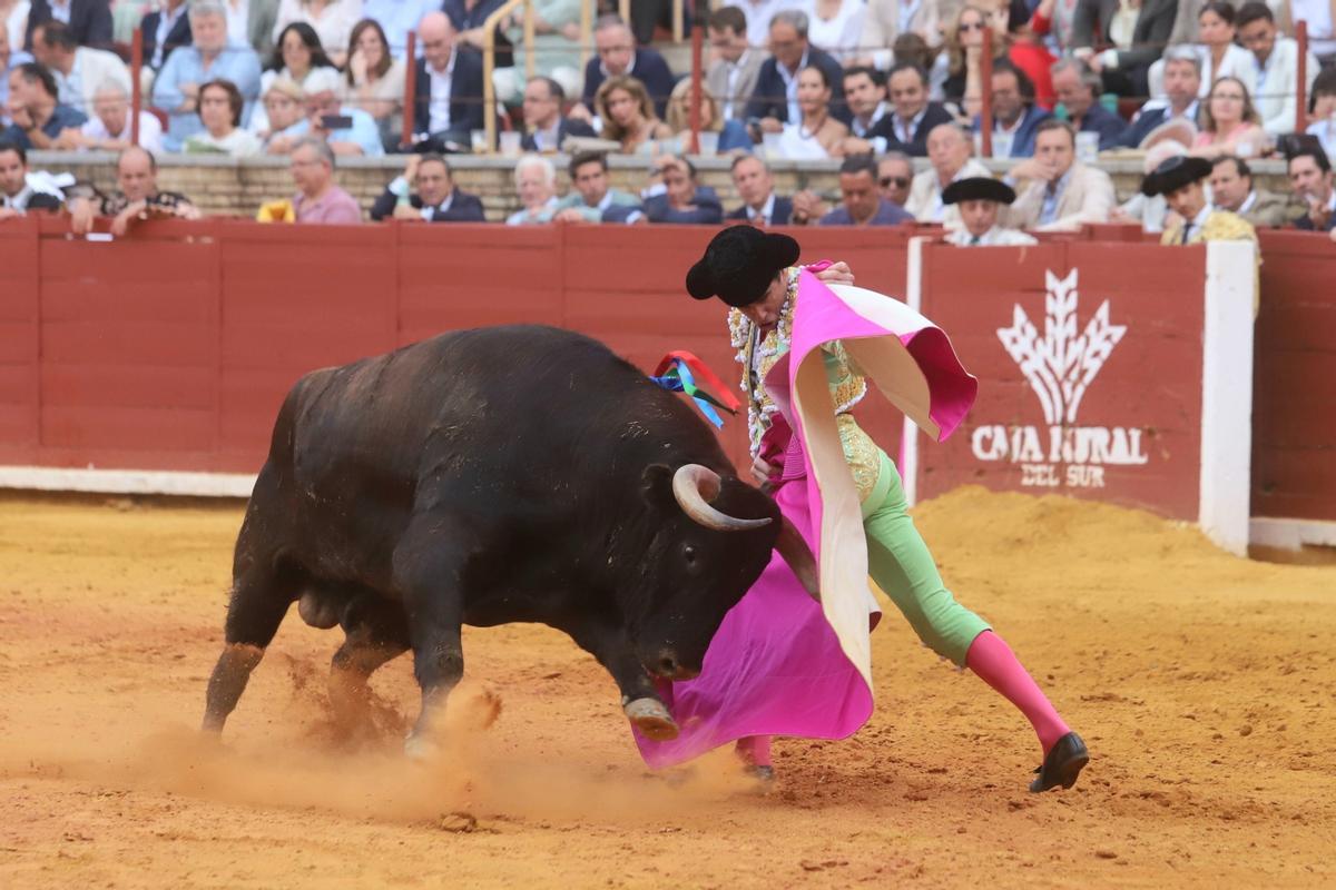 Última corrida de abono de la Feria Taurina de Córdoba, en imágenes Última corrida de abono de la Feria Taurina de Córdoba, en imágenes