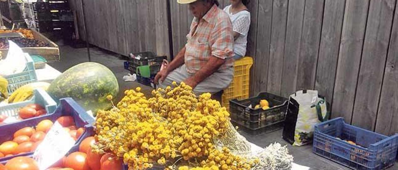 Manzanilla en el puesto de Antònia Vallespir.