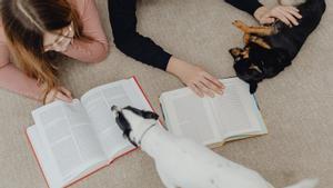 Jóvenes estudiando con sus perros