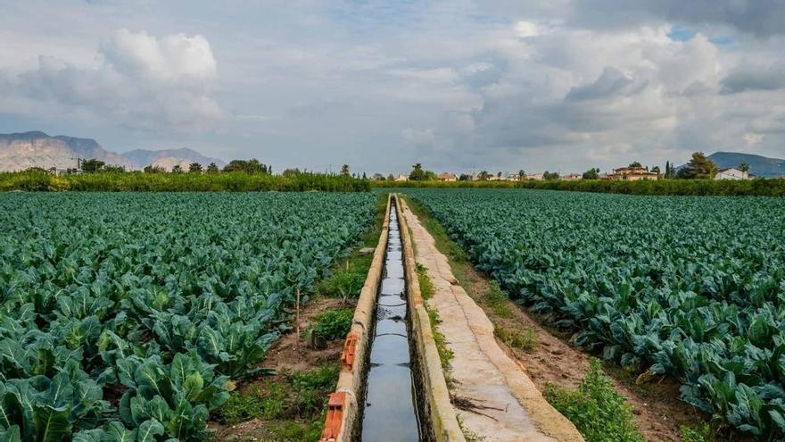 Inundaciones y recursos hídricos centran las alegaciones de Orihuela al nuevo plan hidrológico del Segura