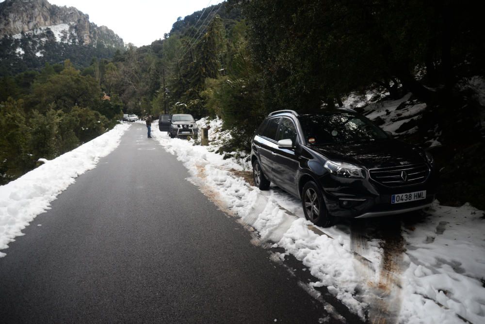 Los mallorquines salen a jugar con la nieve