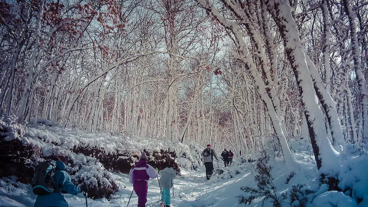 El juego de la perezosa: "¿Quieres saber cómo enfrentarte a un temporal de nieve?