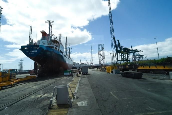 PASEO EN GUAGUA POR EL PUERTO