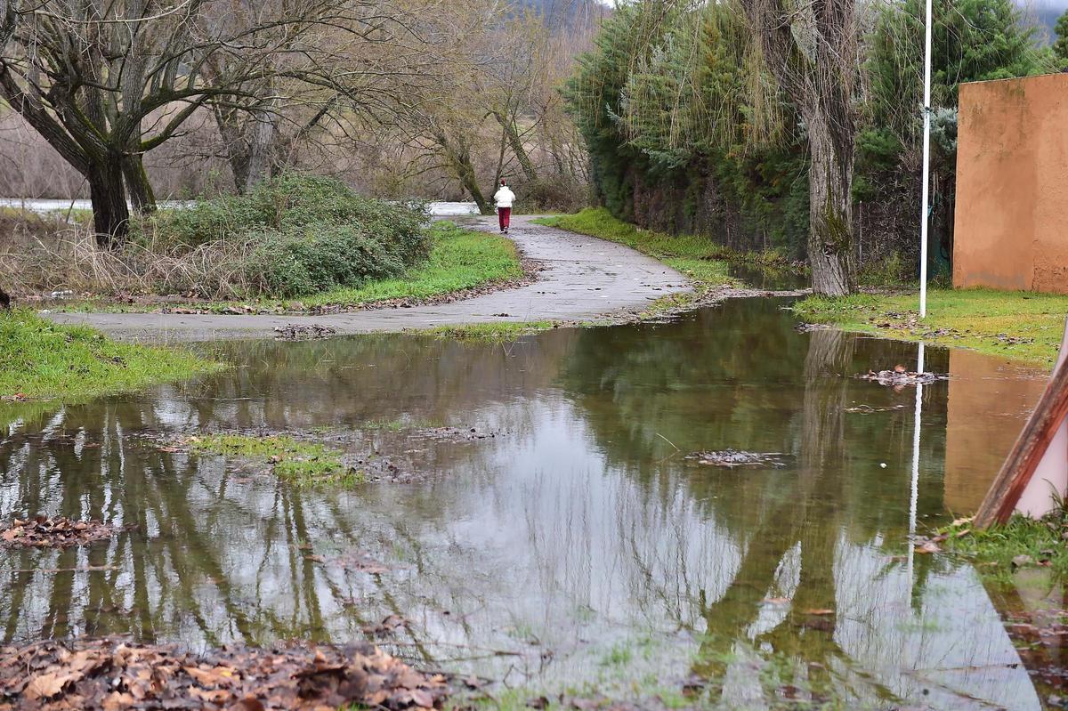 Fotogalería | El río se desborda en La Chopera de Plasencia