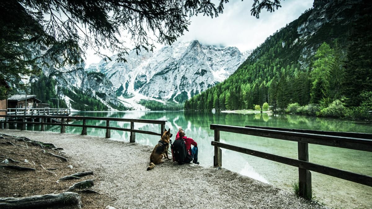 Italia pone una restricción a los perros: sus dueños tendrán que pagar por dejarles entrar.