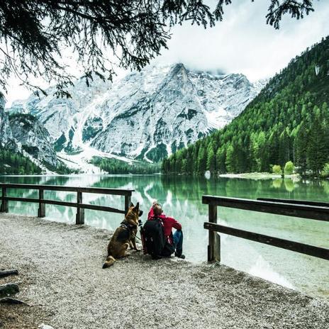 Italia implementa una tasa para perros de 1,50 euros al día: ¿Criminalización o mejora de los espacios públicos?