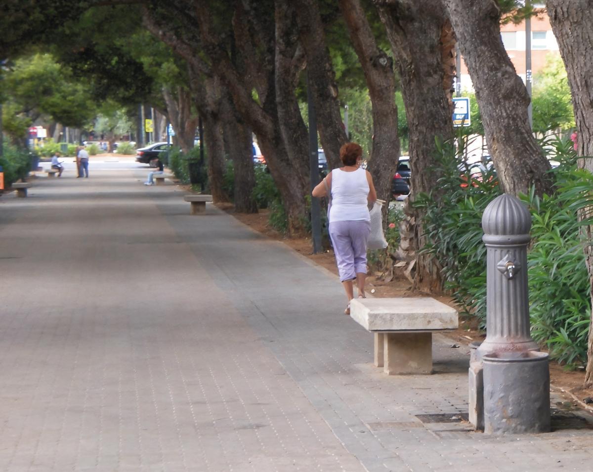 Fuente en la Avinguda al Vedat.