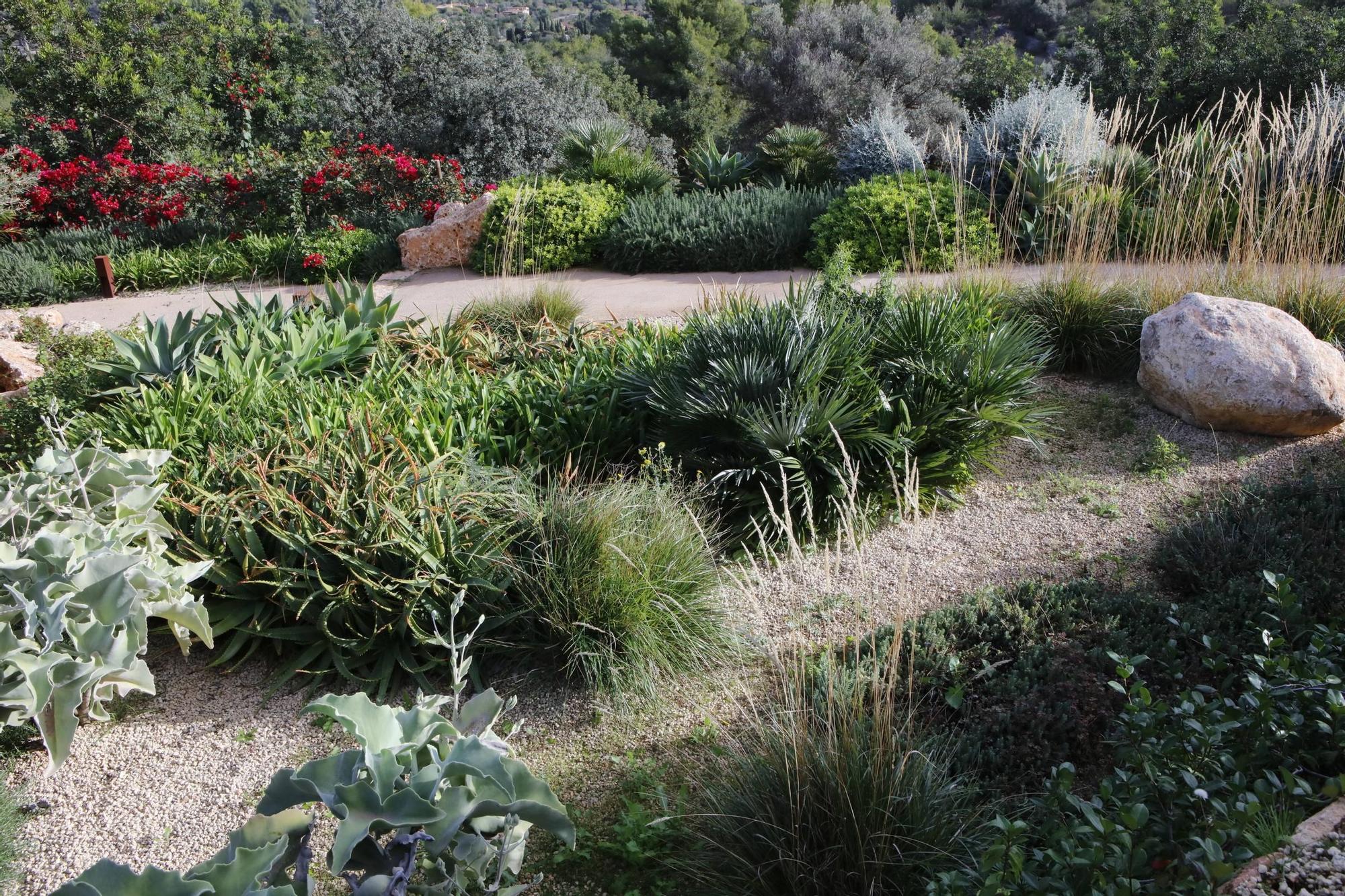 Ein Garten auf Mallorca ganz in Öko