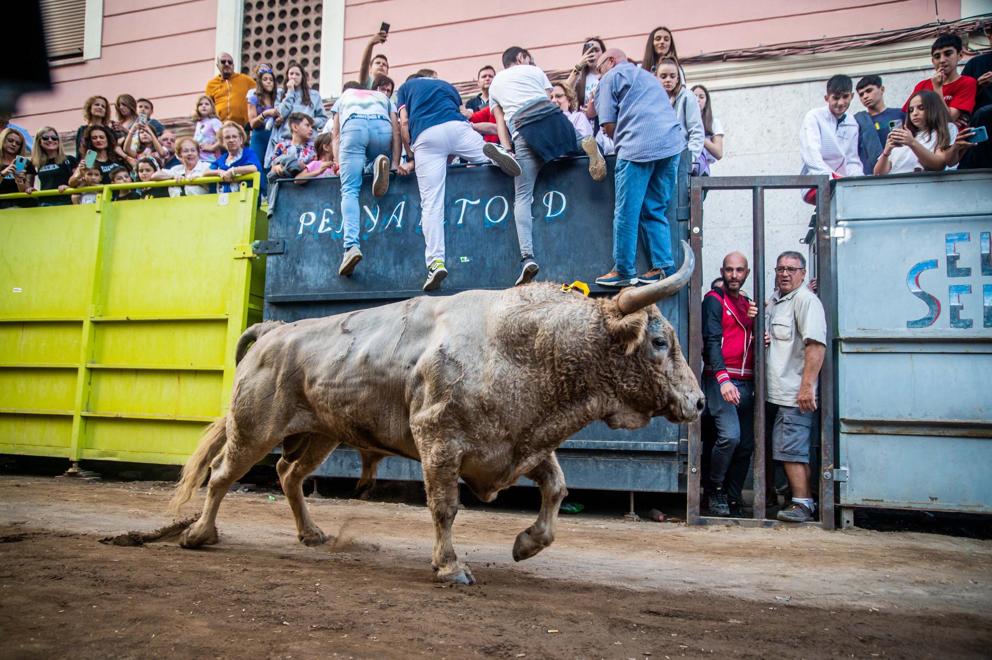 Galería de fotos de la última tarde de toros de la Fira en Onda