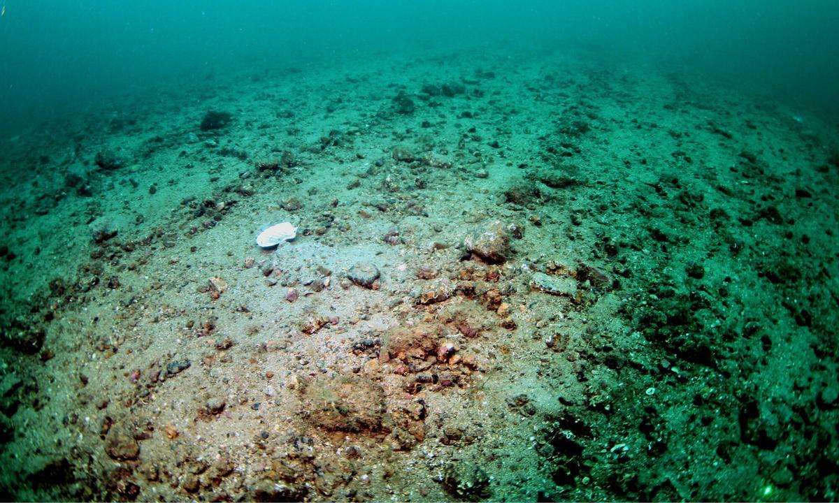 Fondo marino tras ser arrasado por barcos arrastreros
