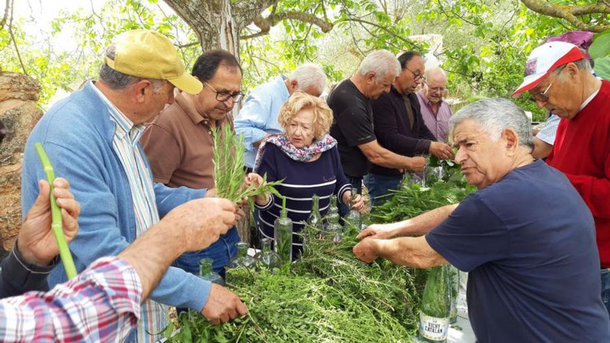 Proceso de elaboración de las ‘herbes’.