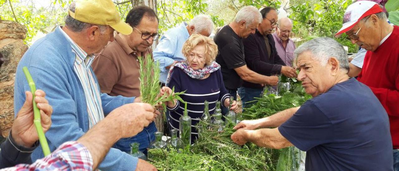 Proceso de elaboración de las ‘herbes’.