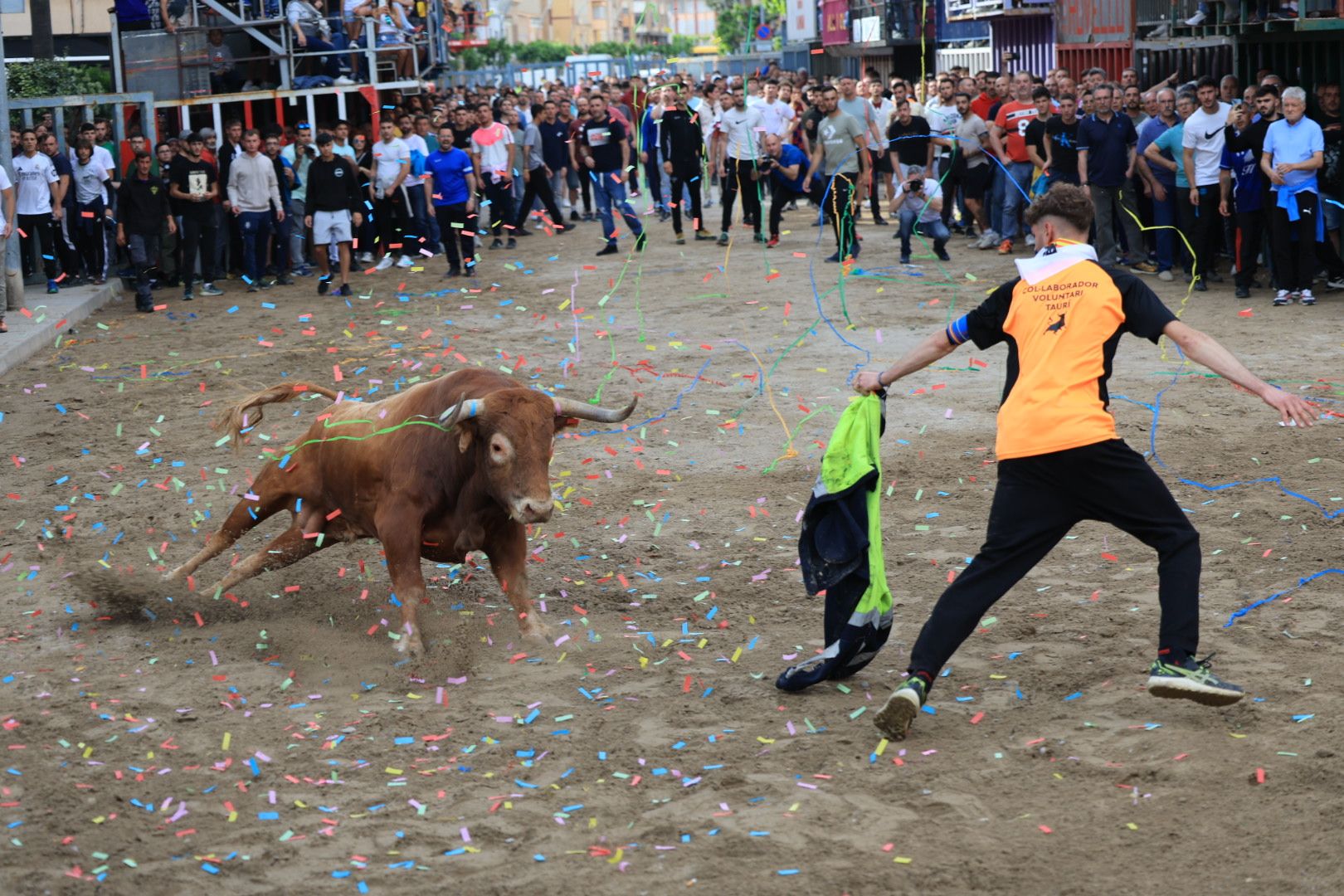 Fotos de la tarde taurina del jueves de las fiestas de Sant Pasqual en Vila-real