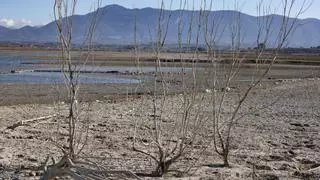 Los embalses del Júcar y el Segura pierden agua por tercera semana consecutiva
