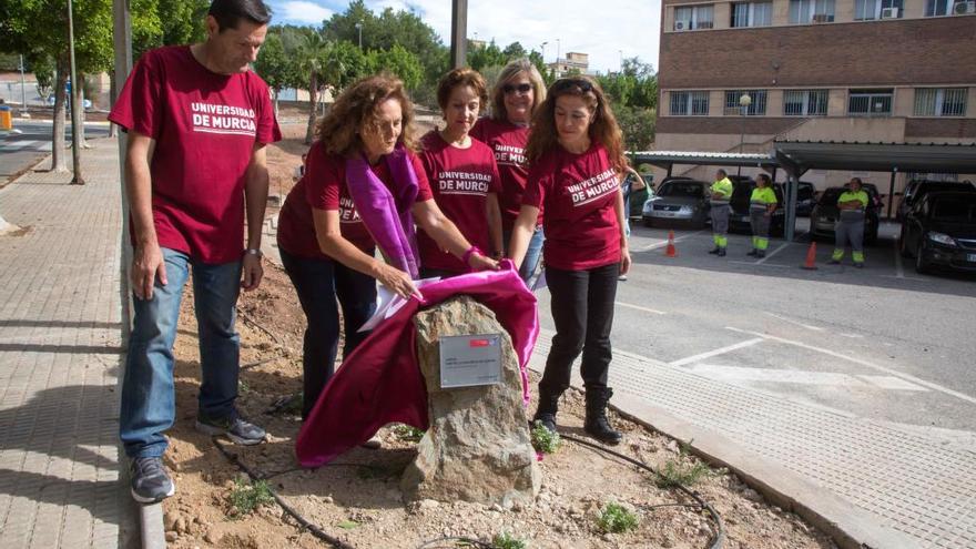 La UMU cuenta con un &#039;Jardín contra la Violencia de Género&#039;