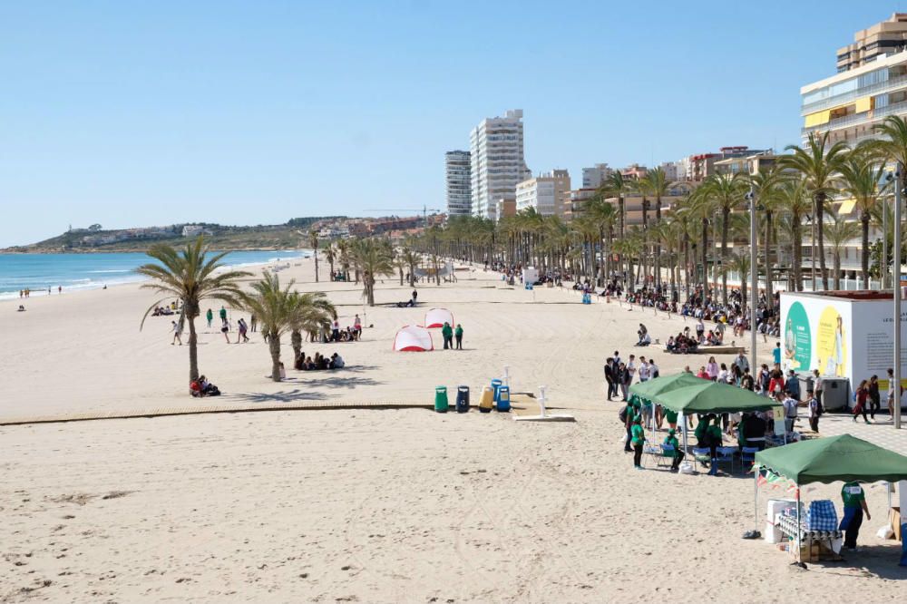 Botellón de Santa Faz 2018