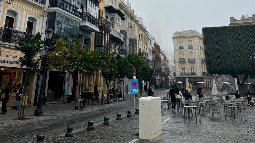 La simpática reacción de Rancio esta mañana al no ver la Giralda por la niebla: "¡Ostras, se la han llevado!"