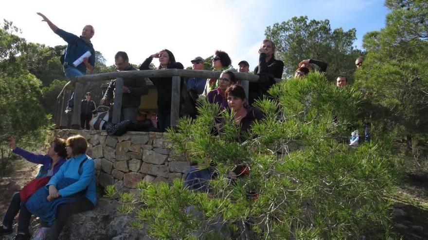 El paisaje del Valle de Ricote se exhibe