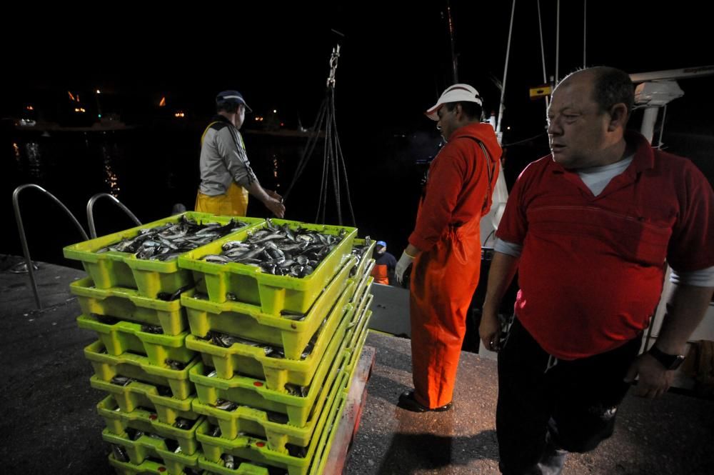 Jornada de pesca de bajura // I.Abella