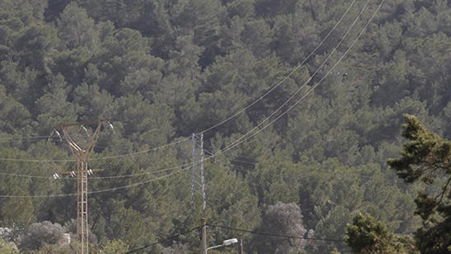 Tendidos aéreos de electricidad en el Parque Natural de ses Salines de Ibiza.