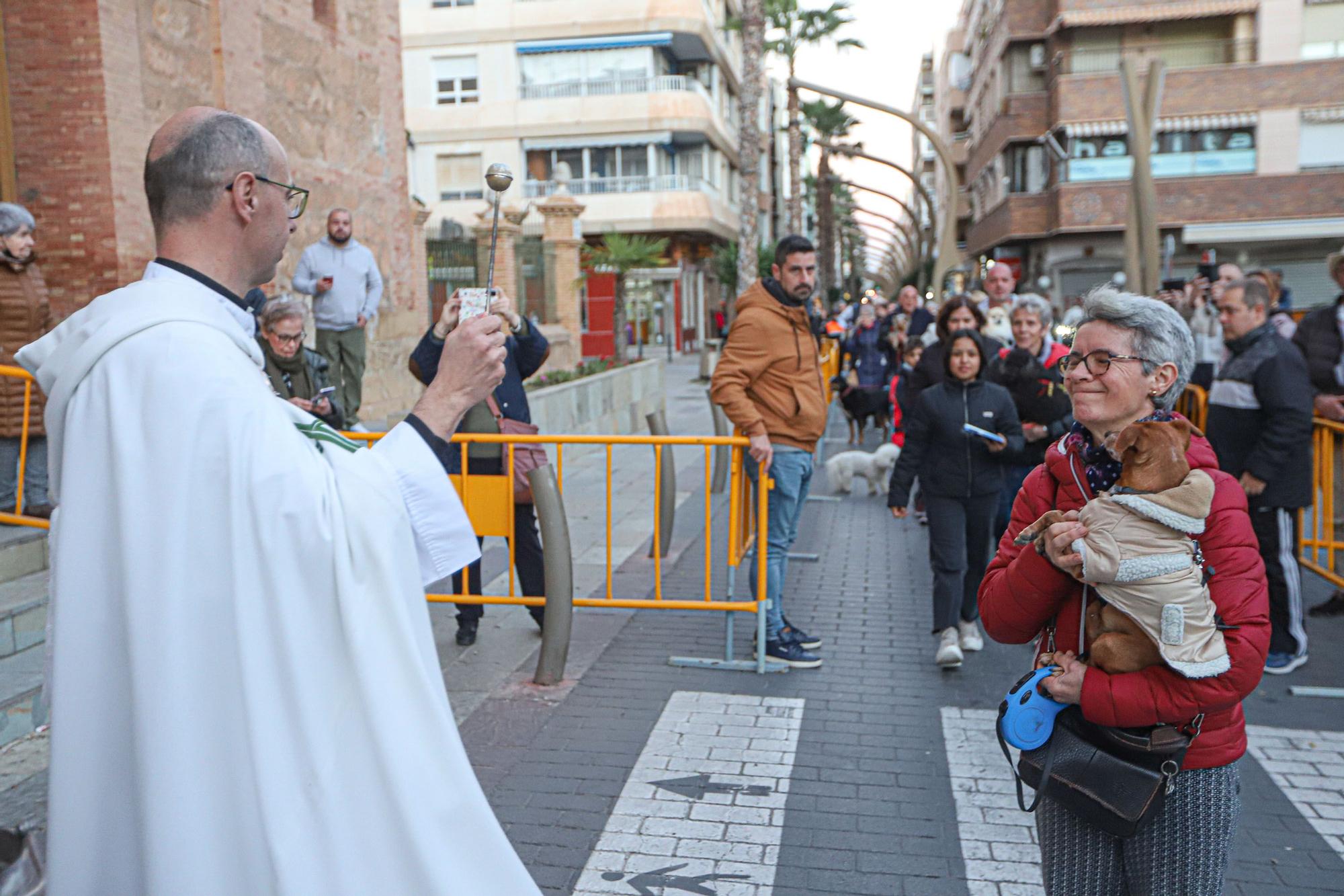 Bendición de San Antón en Torrevieja