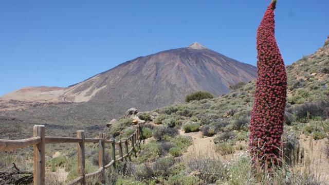 Panorámica del Teide.