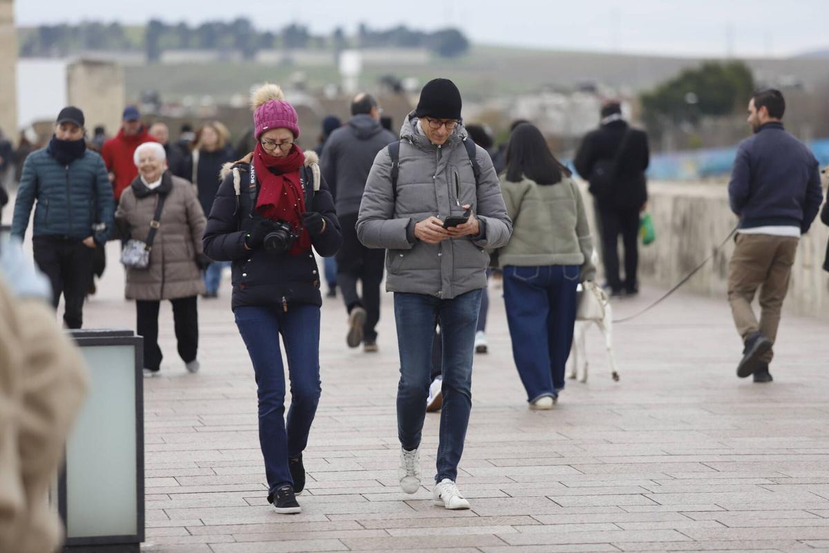 Varias personas caminan bajo un fuerte frío por el Puente Romano de Córdoba.