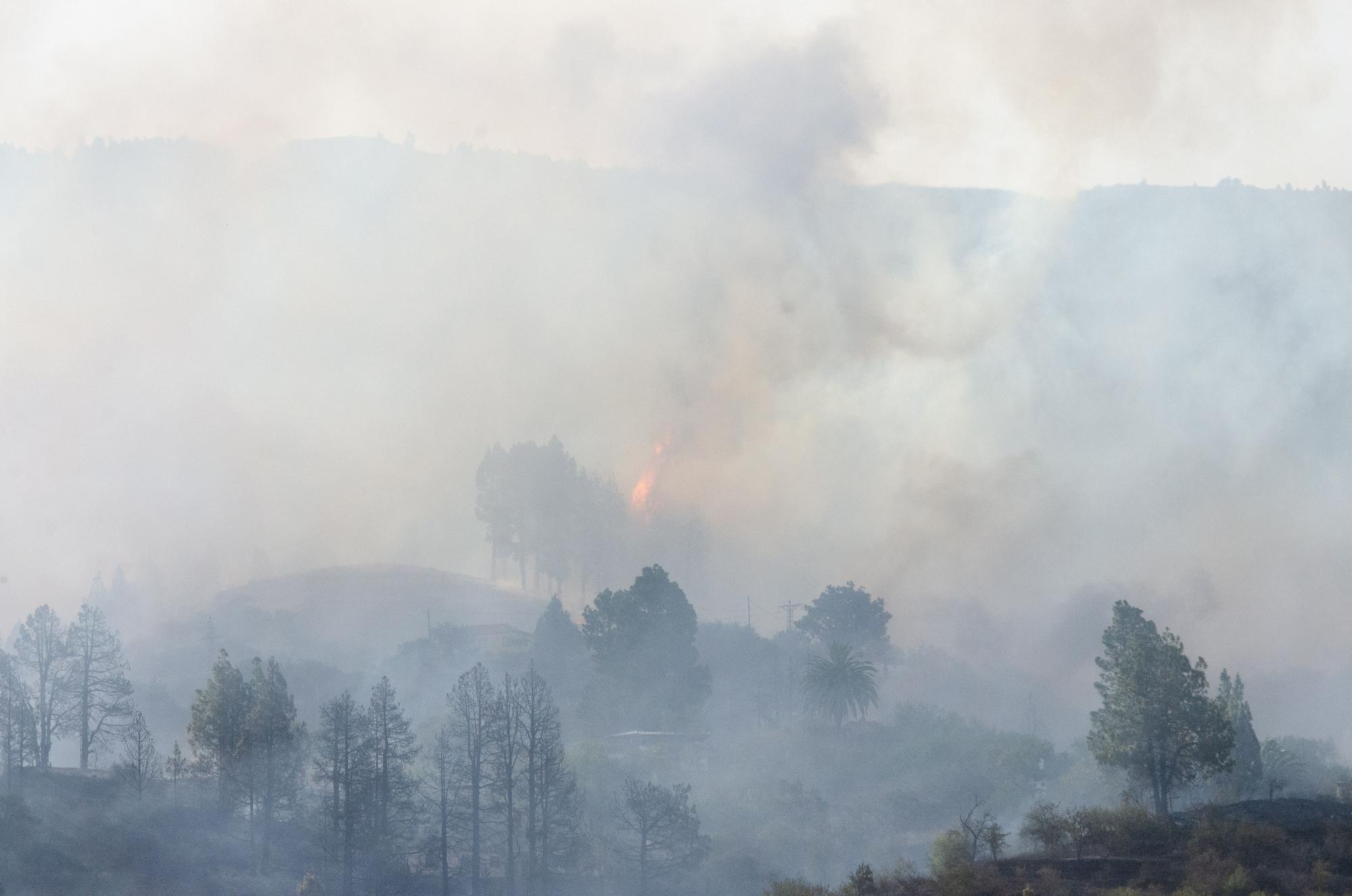 Un incendio forestal en La Palma afecta a viviendas y obliga a la evacuación de vecinos