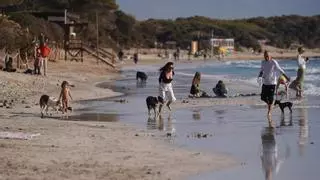 Ibiza bate su récord de temperatura máxima de enero