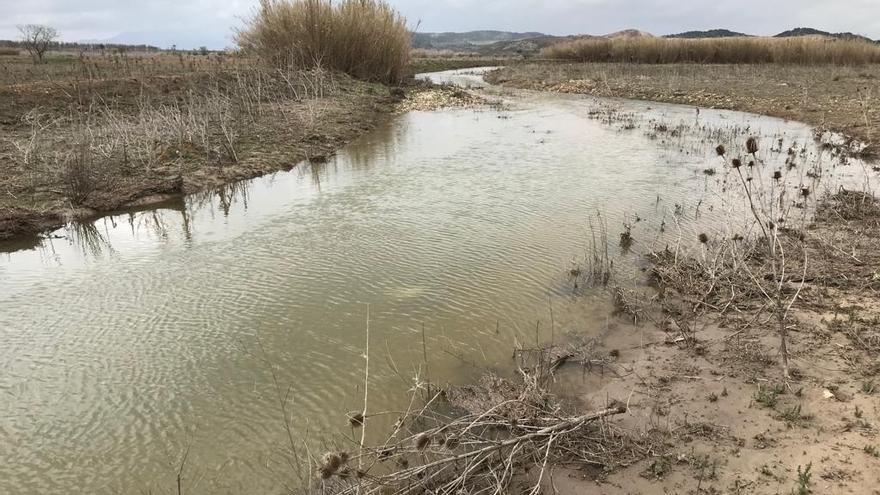 El Vinalopó ha cuatriplicado su caudal en Beneixama.