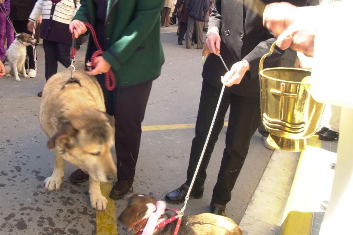 Imatge d'arxiu d'una benedicció de mascotes i animals
