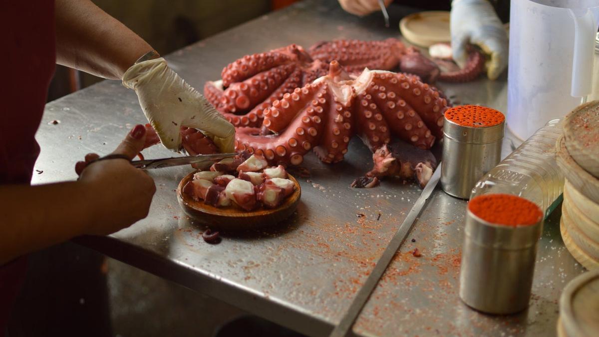 La España Verde en 30 palabras
