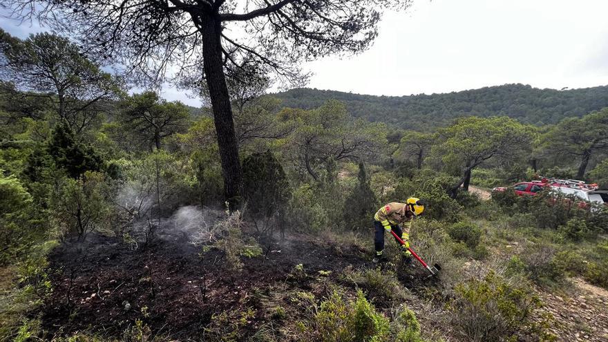 Important desplegament dels Bombers per apagar un incendi a La Llacuna