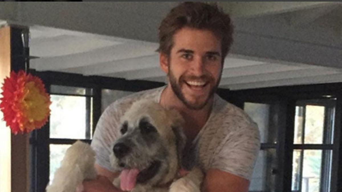 Miley Cyrus ayuda a su ex Liam Hemsworth a adoptar un perro