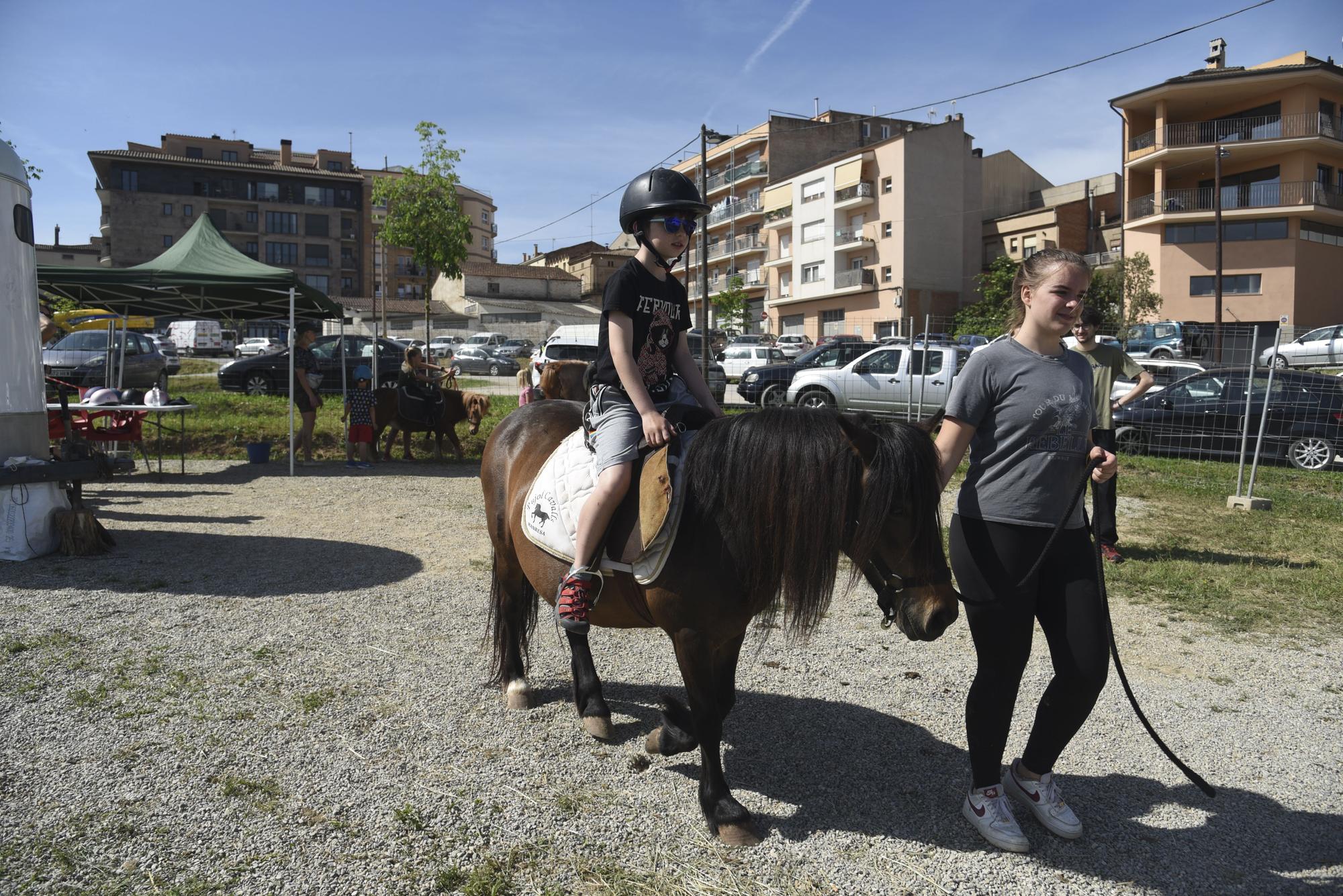 Les millors imatges de la Fira de Sant Isidre