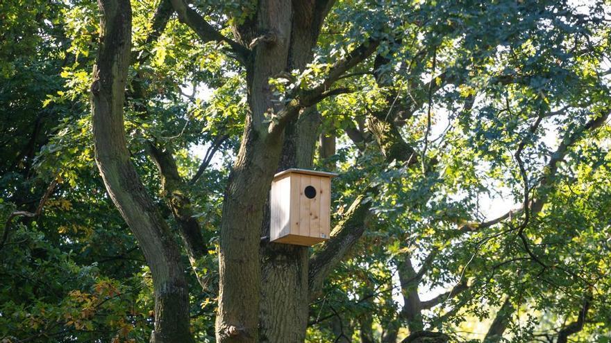 Lorquí mejorará su calidad ambiental gracias a un proyecto europeo de renaturalización urbana