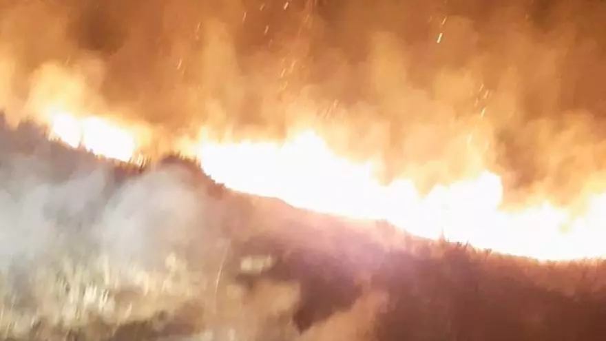 VÍDEO | Incendio intencionado en Puebla de Sanabria