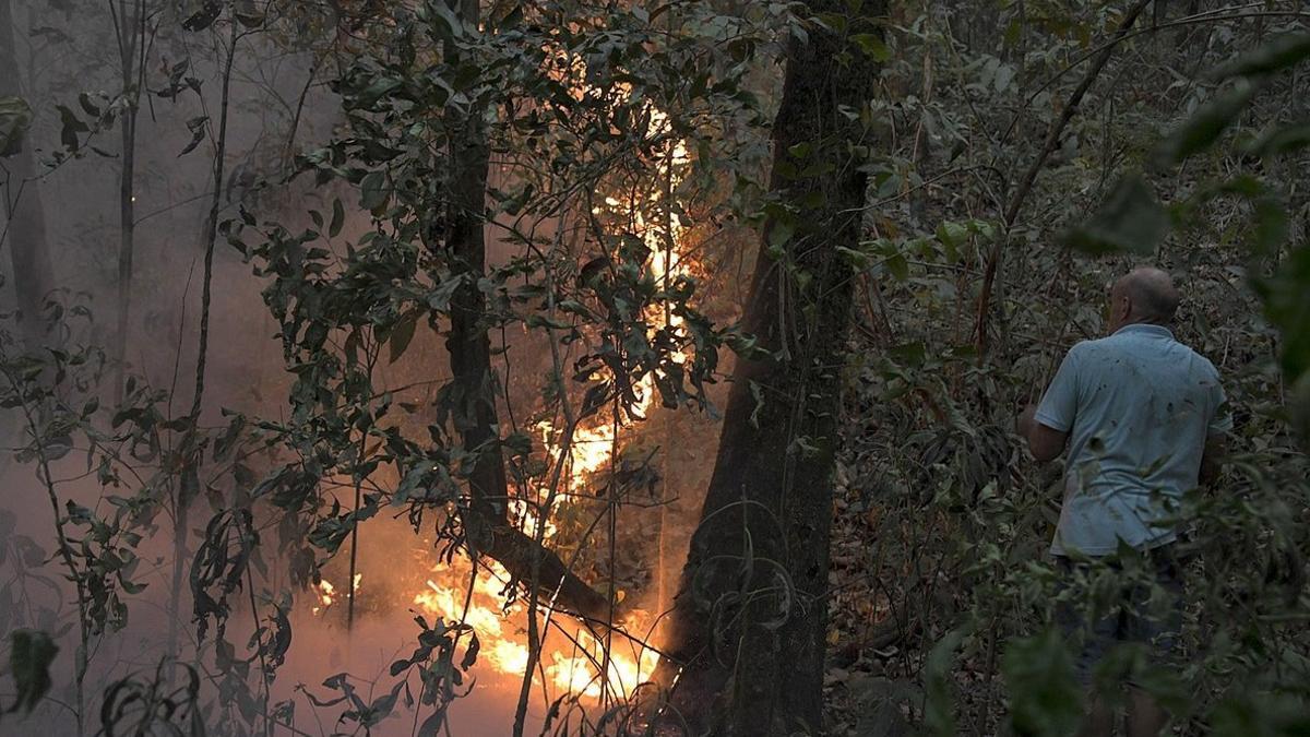 incendio-amazonas