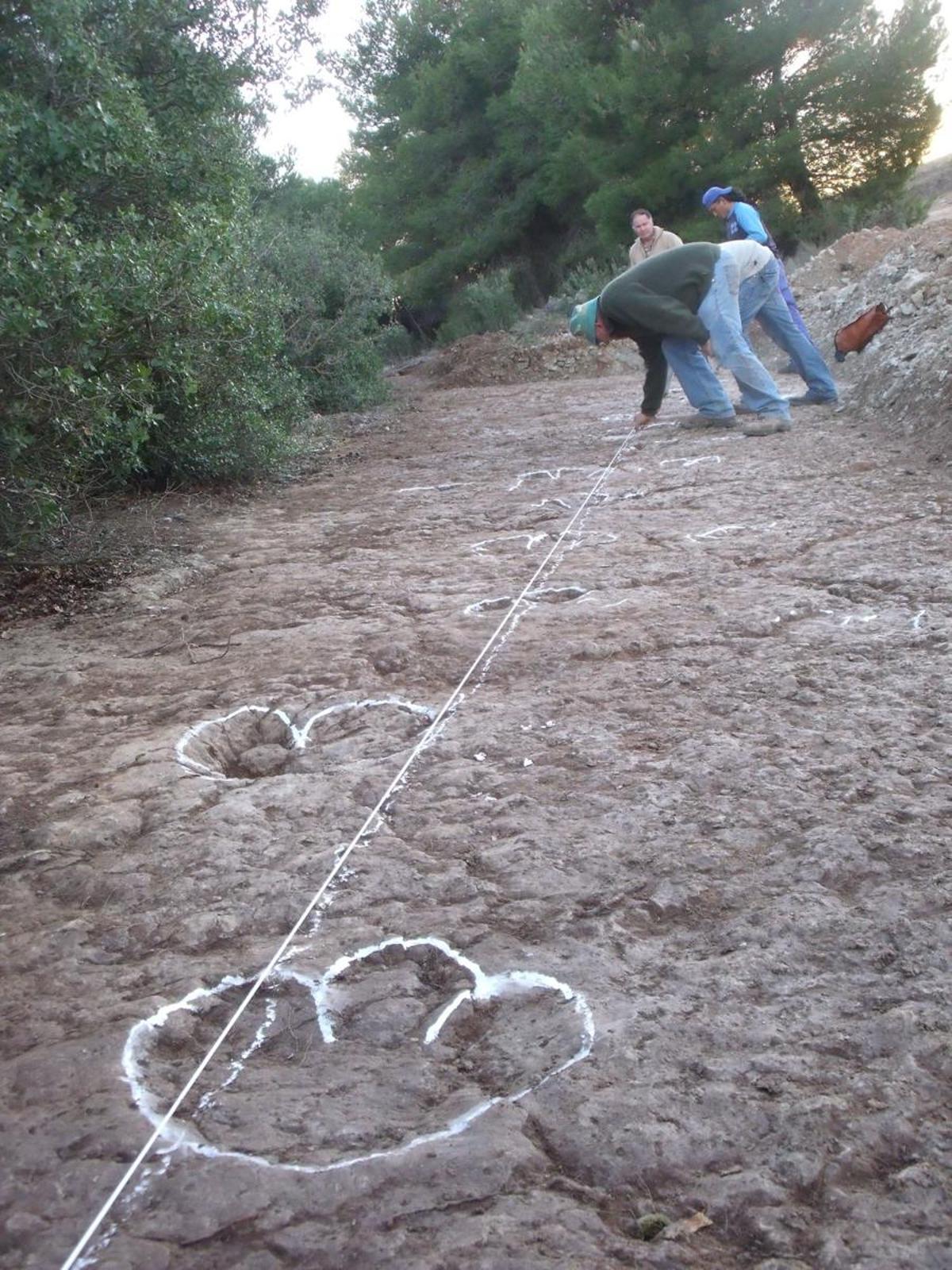 Limpieza y caracterización de las huellas ubicadas en la Sierra de los Gavilanes (Yecla-Jumilla).