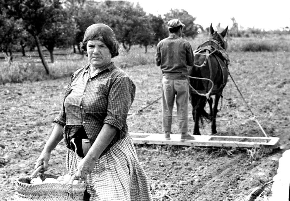 Mujeres trabajadoras