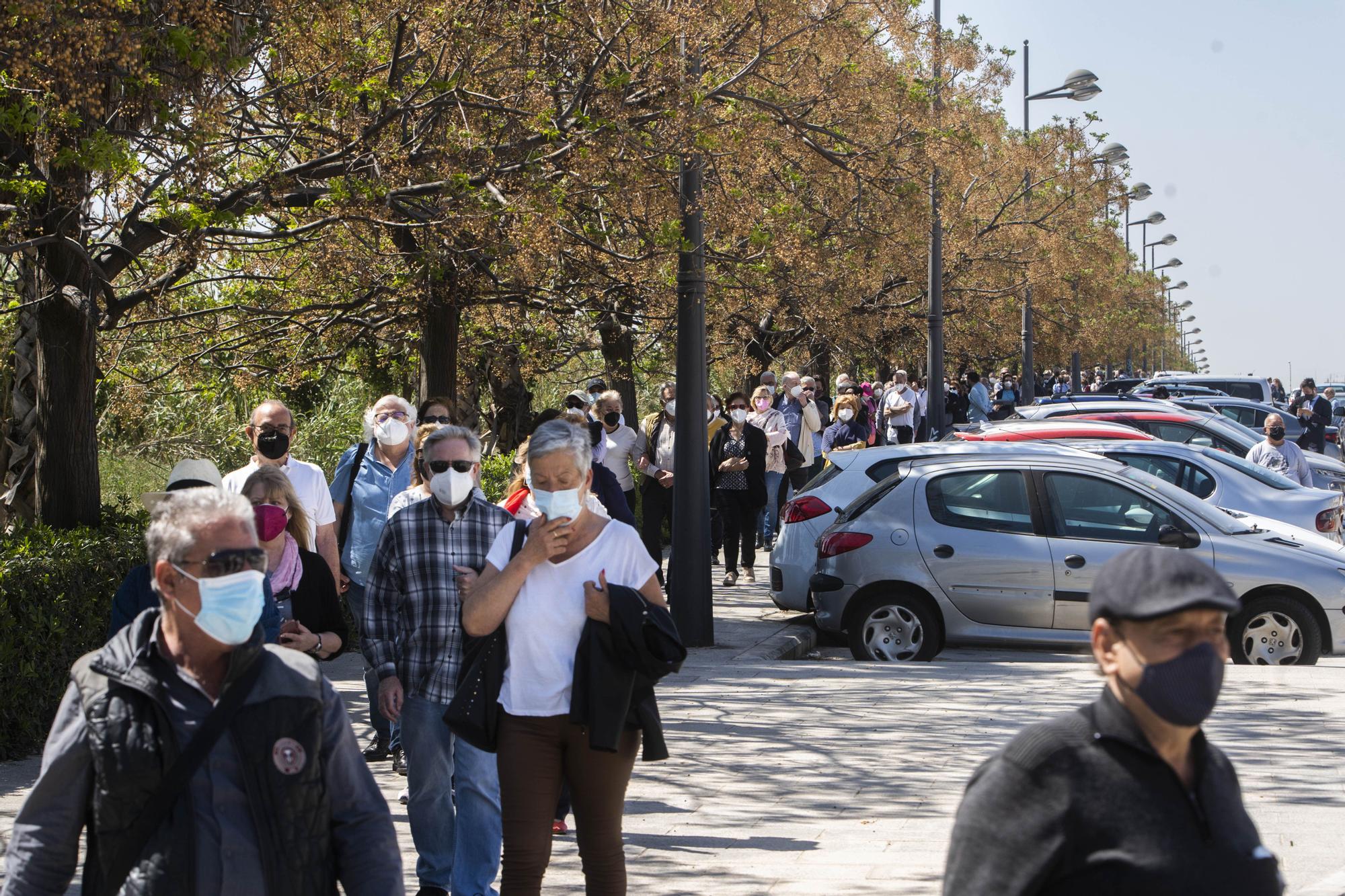 Largas colas al sol para vacunarse contra la COVID-19 en el hospital de campaña de La Fe