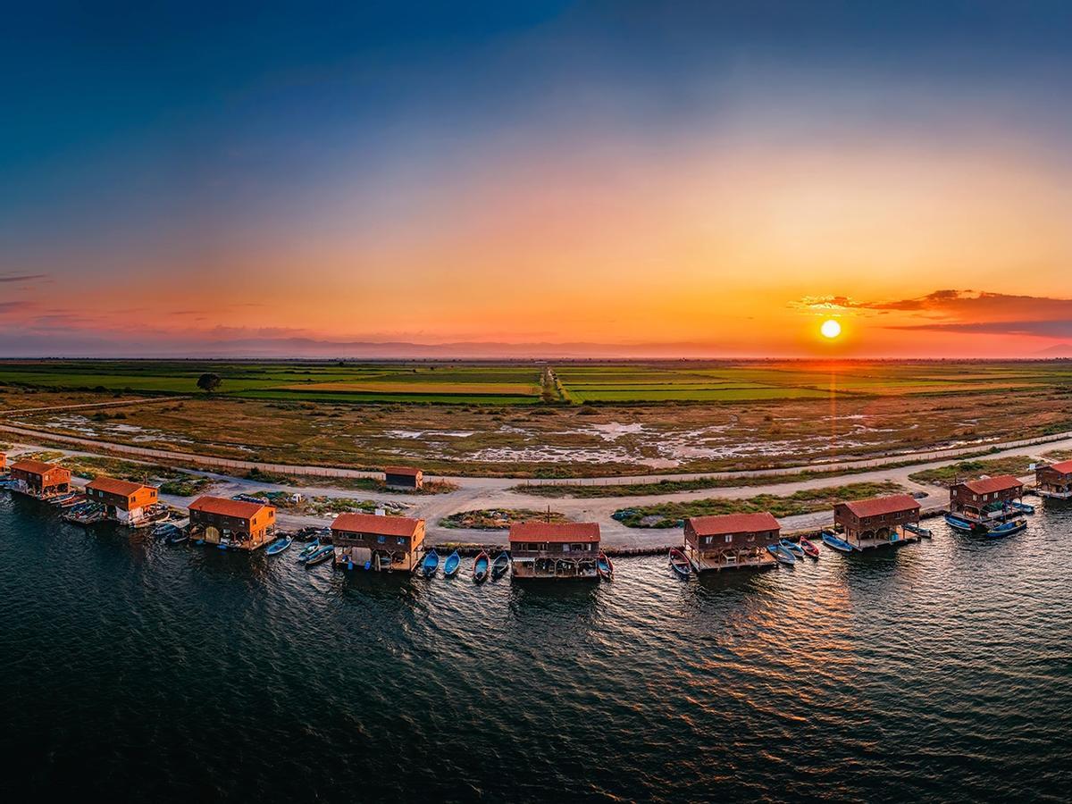 Los arrozales en el delta del río Axios.