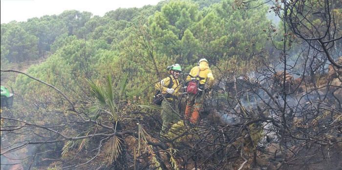 Incendio forestal en Benahavís