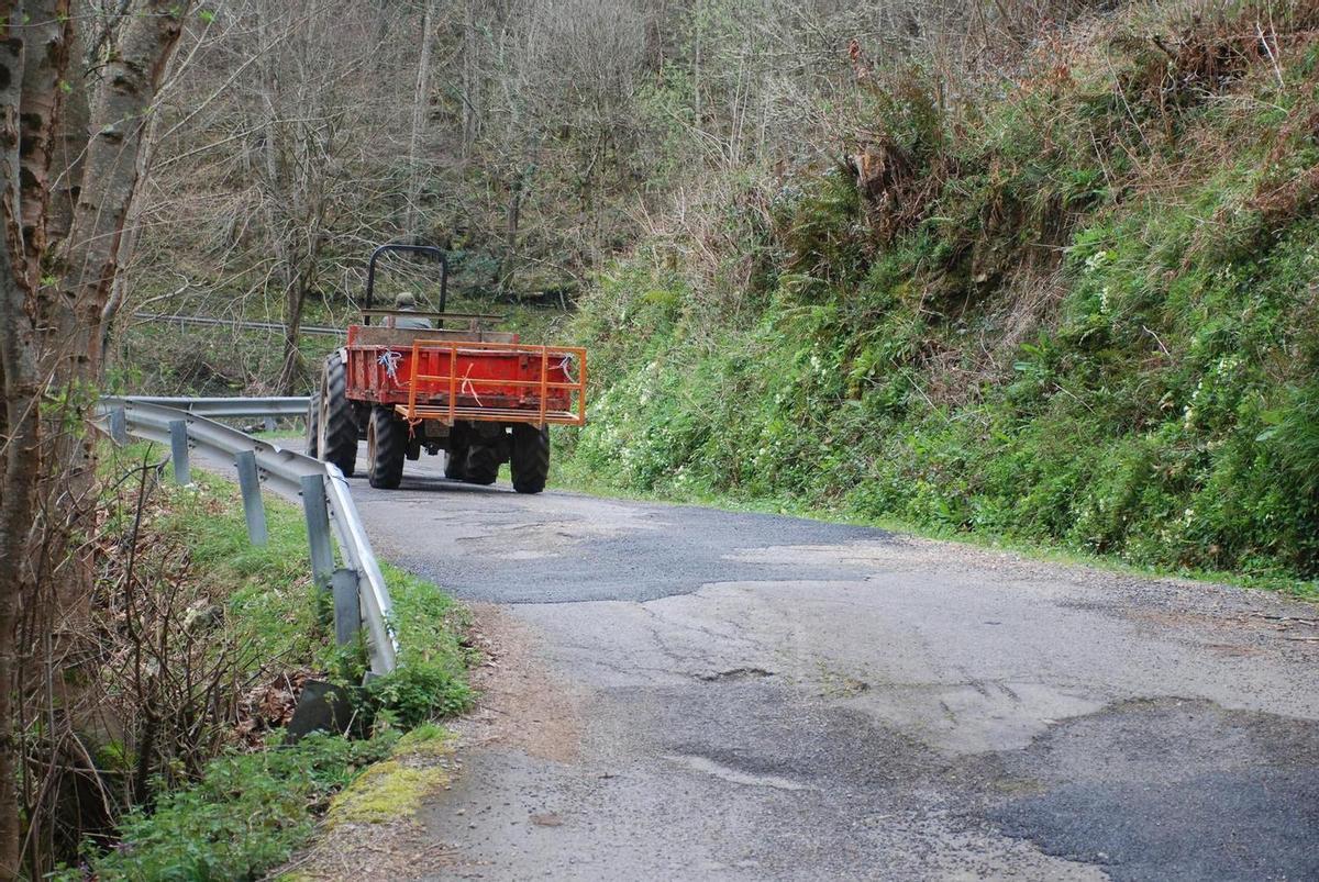 Un tramo de la carretera de Abiegos.