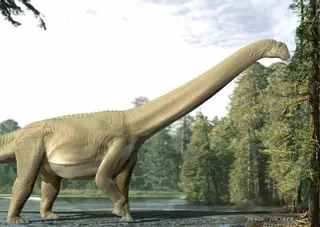 La última comida de un saurópodo corrobora que estos dinosaurios eran vegetarianos