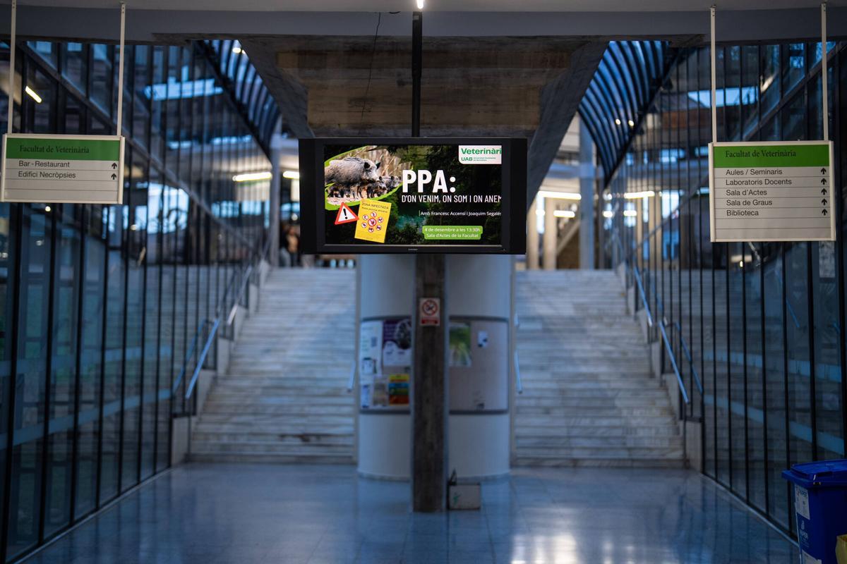 Cerdanyola del Vallès, 11/12/2025. SOCIEDAD. Anna Ruiz, 19 años; Anna Suner, 19 años; y Nora Monsó, 19 años, todas estudiantes de segundo de Veterinaria de la UAB, explican cómo han vivido las restricciones al parque y a los bosques del campus una semana después del brote de peste porcina africana. FOTOS: Zowy Voeten / El Periódico