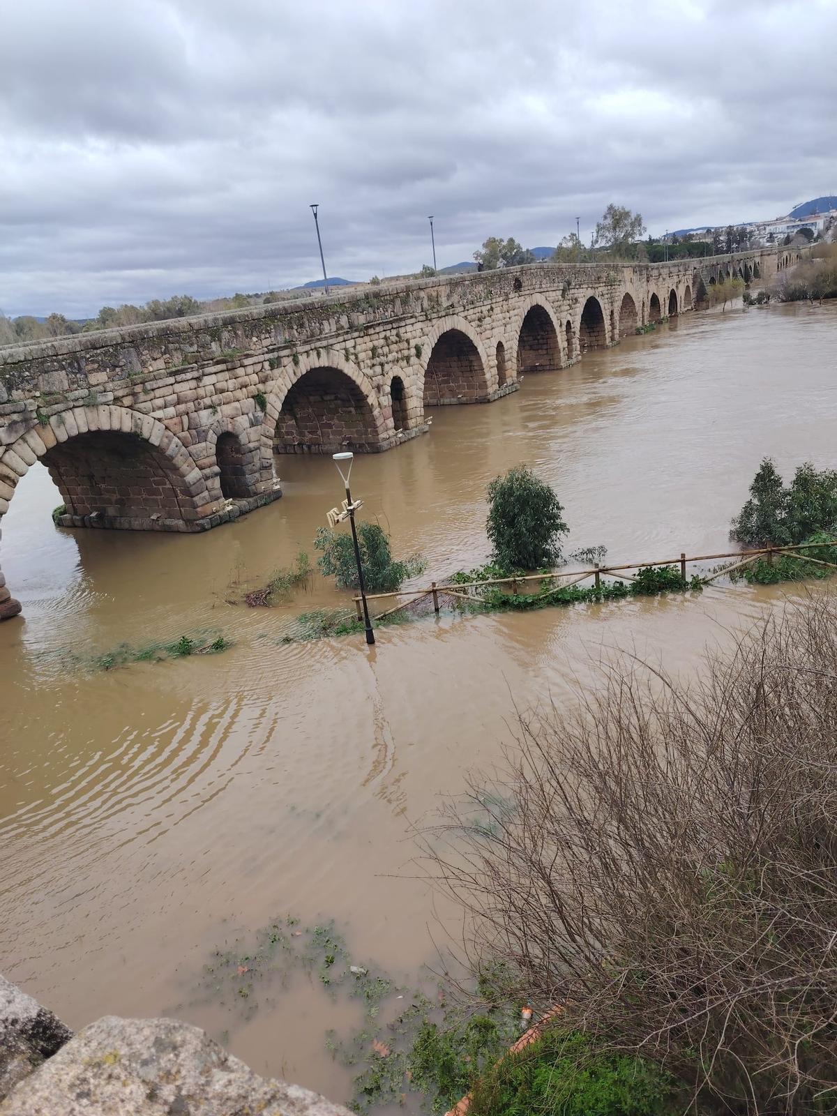 La crecida del río Guadiana a su paso por Mérida anega el parque de La Isla La crecida del río Guadiana a su paso por Mérida anega el parque de La Isla