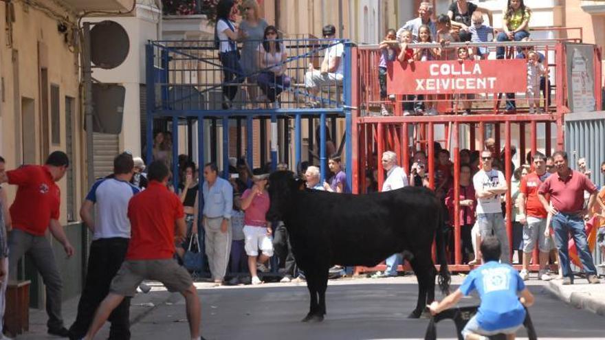 Seis ganaderías locales, en las matinales de Santa Quitèria