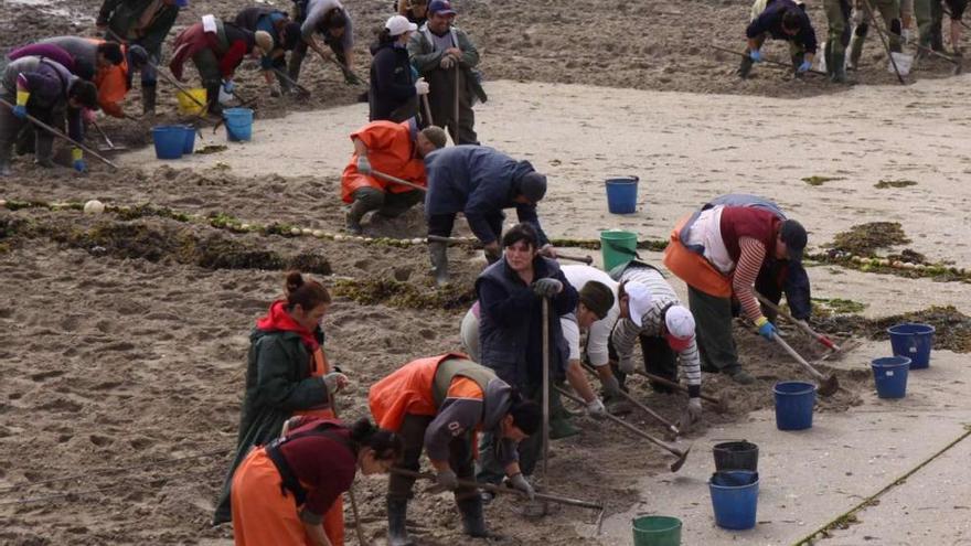 Hombres y mujeres comparten cada vez más la actividad del marisqueo a pie.  // Muñiz